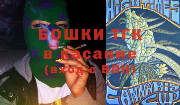 бошки Осинники