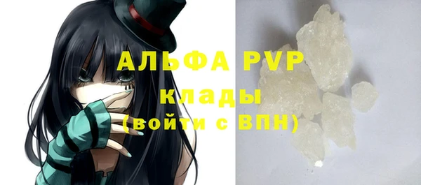 гашик Осташков