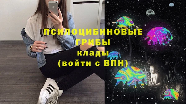 гашик Осташков
