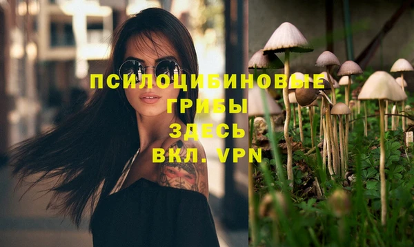 гашик Осташков